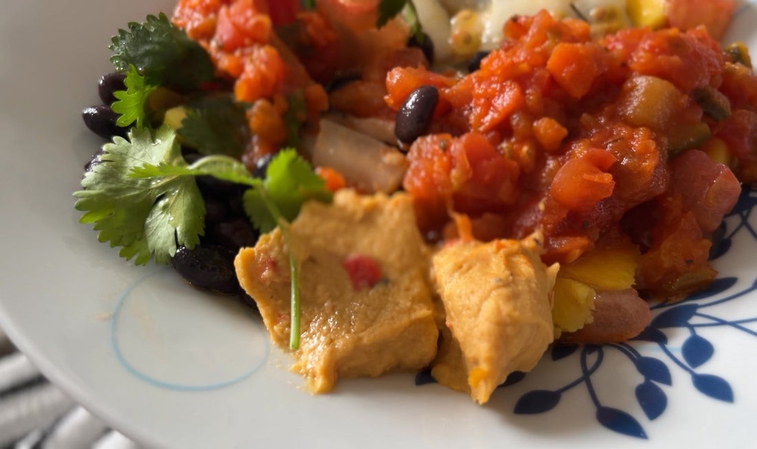 Navigating Travel with a Blended Diet: A Journey of Preparation and Adventure